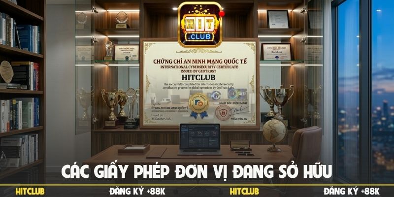 Các giấy phép đơn vị đang sở hữu