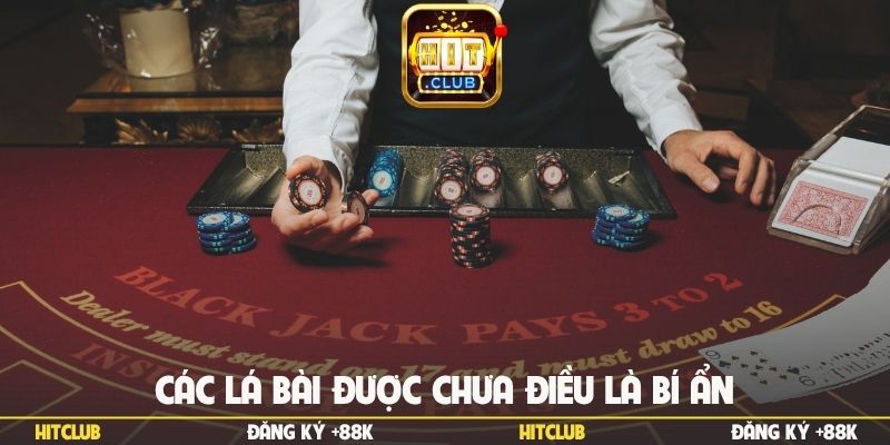 Các lá bài được chưa điều là bí ẩn