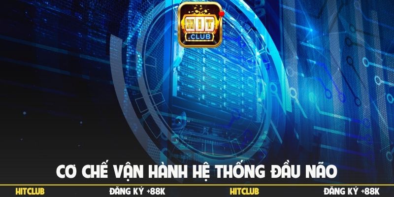 Cơ chế vận hành hệ thống đầu não