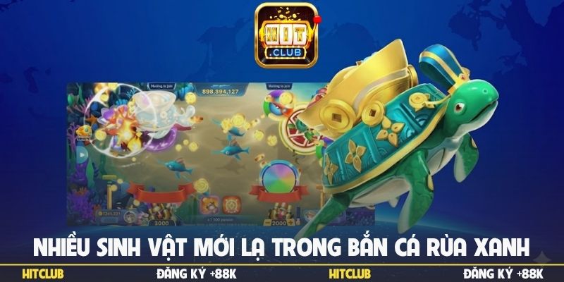 Nhiều sinh vật mới lạ trong Bắn cá rùa xanh
